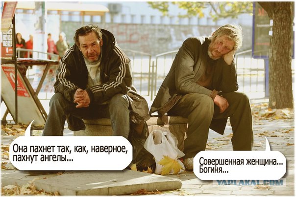 15 картинок с тЫрнета