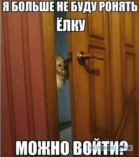 Разные картинки