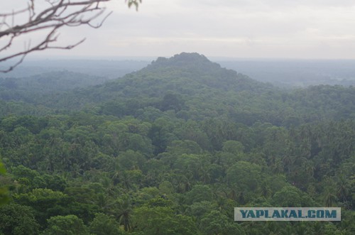 Самостоятельное путешествие в Шри-Ланку