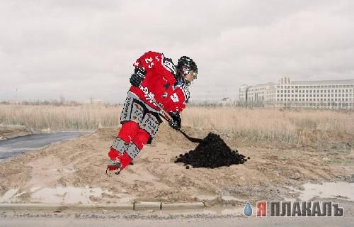 Фотожаба: Афорогасторбайтерская жаба.