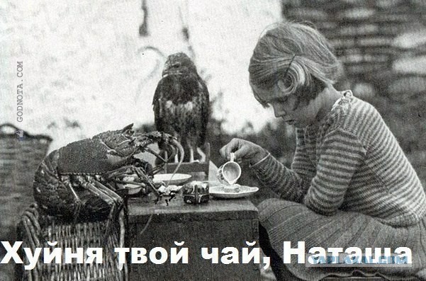 Абсурдная субботница