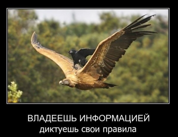 Демы без Темы