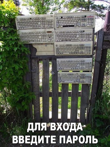 Подборка интересных и веселых картинок