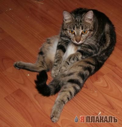 А давайте меряться?