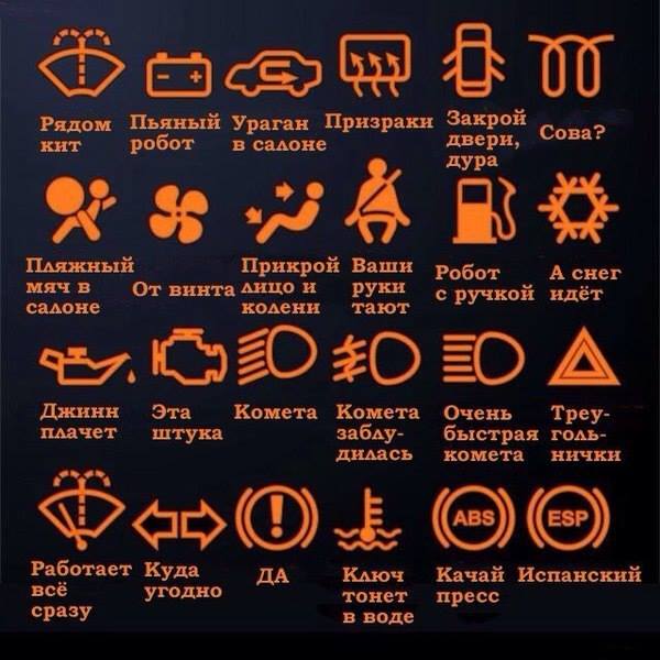 Ассорти картинок из сети