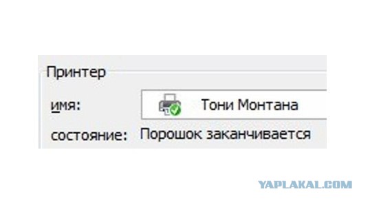 Картинки и приколы из сети