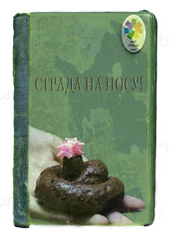 КОКОС: Возрождение Легенды. Голосование