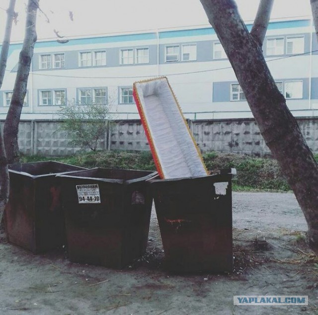 Подборка смешных картинок
