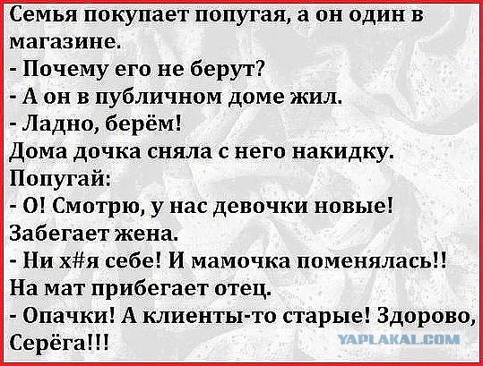 Смешные комментарии из социальных сетей 23.12.2016