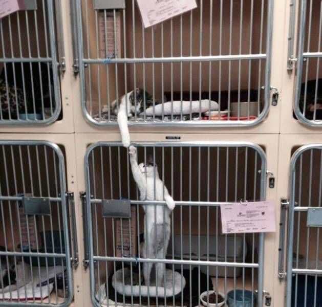 Подборка интересных и веселых картинок
