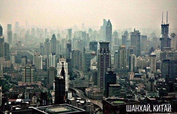 Моменты, запечатлённые на фото и просто позитив 5