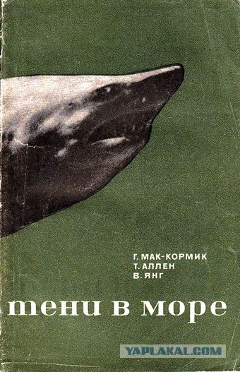 Большеротая акула