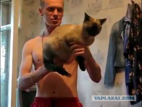 Необычное оружие