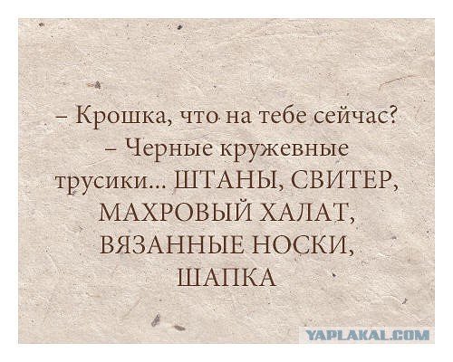 Очередная порция перлов из сети