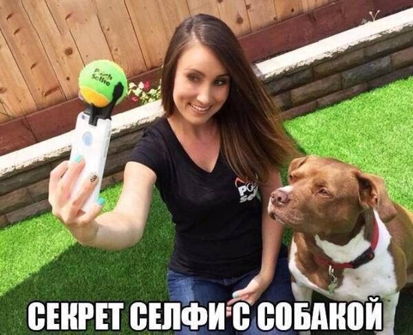 134 картинки для поднятия настроения!