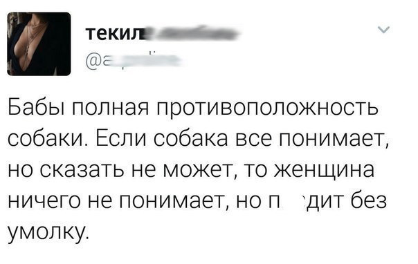 Просто юмор 12