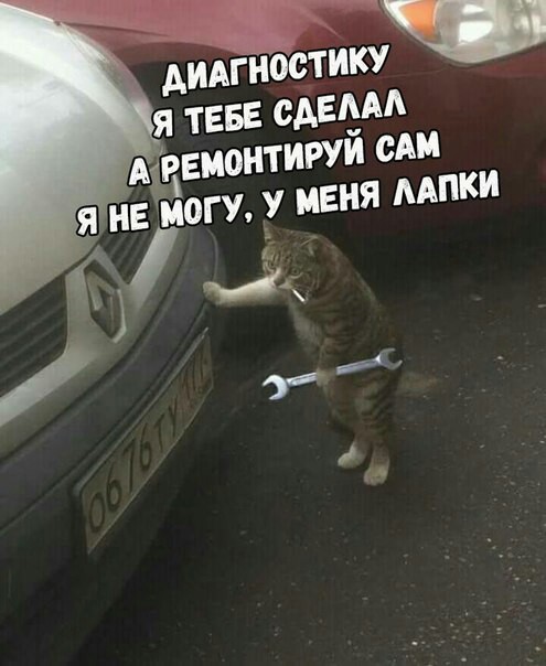Смешные комментарии из социальных сетей 03.11.2017