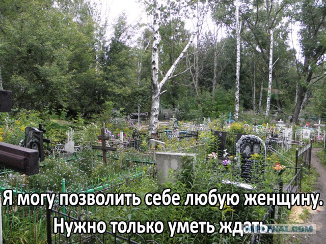 Чернь и деградация к выходным