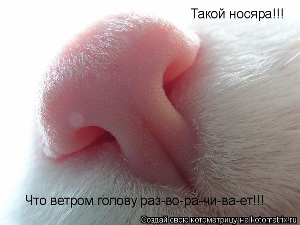 Французская грудь