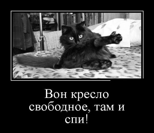 Вижу рифмы