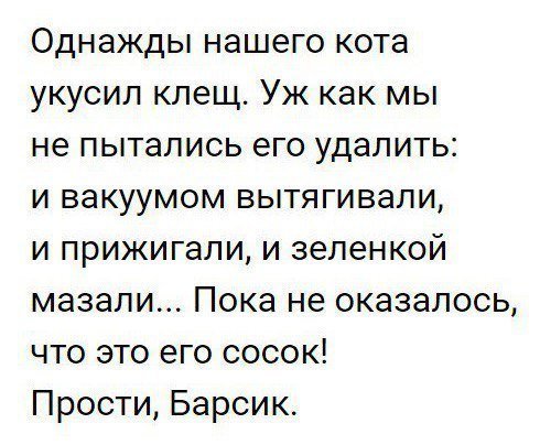 Чутка юмора в картинках