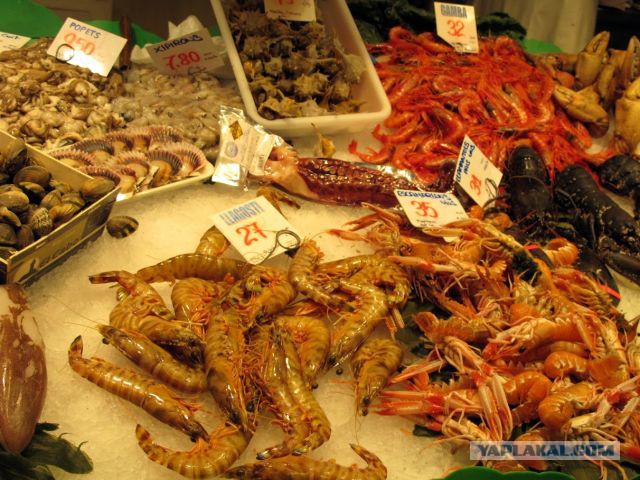 Настоящая Испания изнутри: как готовят паэлью из морепродуктов сами испанцы