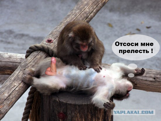 Ого! Да у вас печень ни к черту!