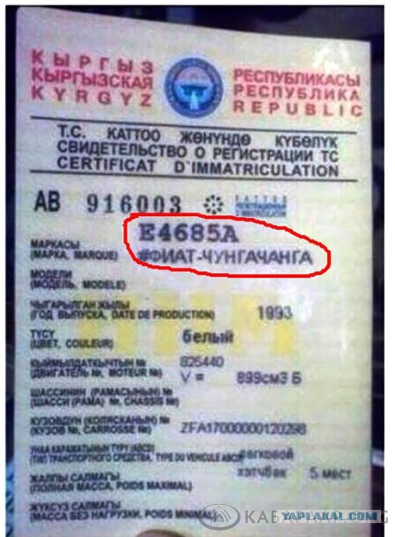 Как в Сочи работает Гаи
