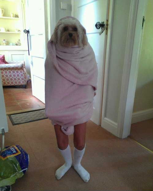 Тут из маминой из спальни...