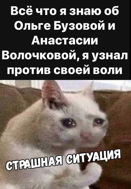 Смешные комментарии из социальных сетей 25.01.2019