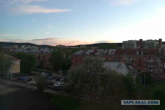 Лето, делимся видом из окна