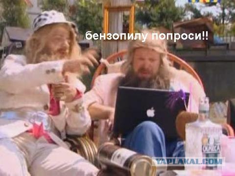 Человек, который живет в лесу и делает сайты.