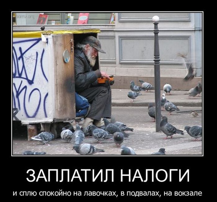 Заплати налоги и спи спокойно картинки прикольные