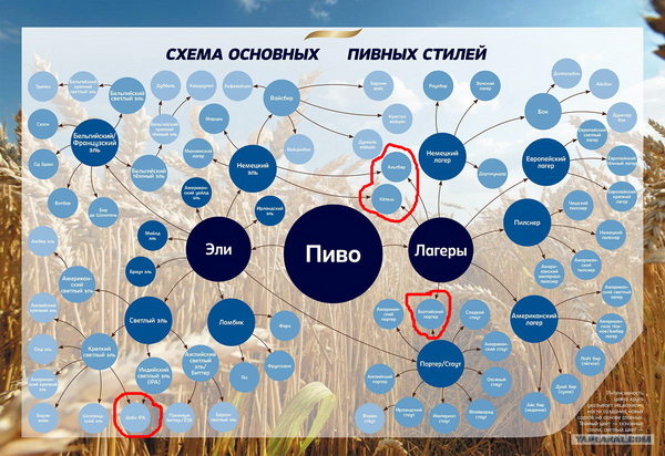 Манера общения с клиентом