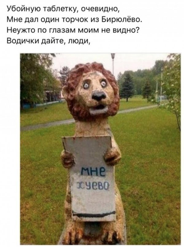 Бредзона 01.12.19