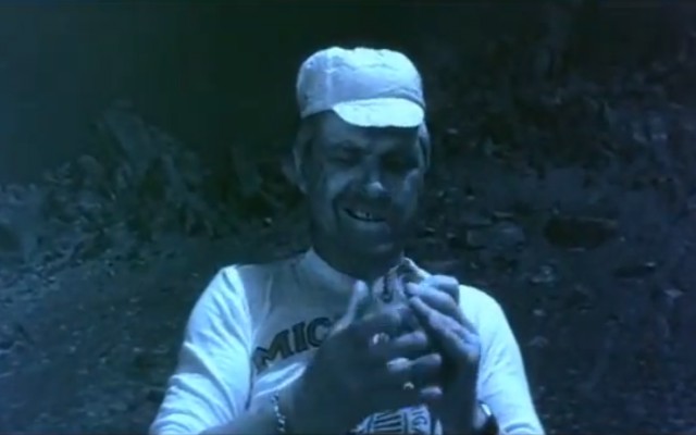 Голодный мишка и консерва, (BBC cameraman)