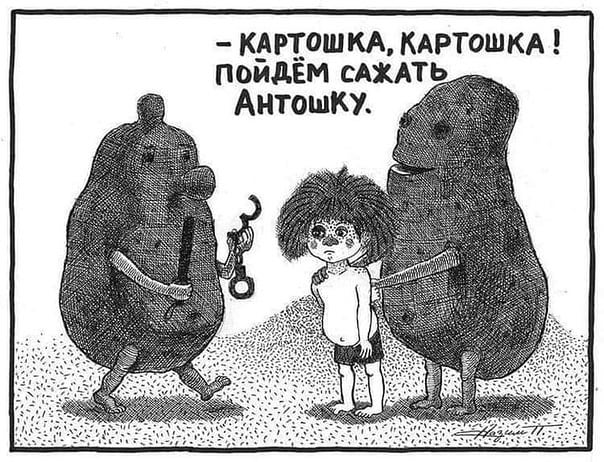 Бредзона 20.10.2020