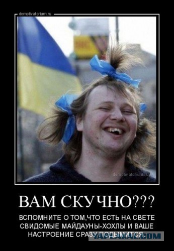Воспоминания диванного воина о русско-украинской войне