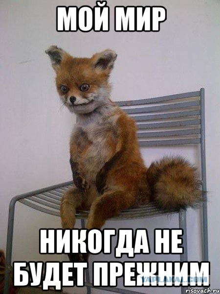 Картинки с надписями и всякие жизненные фразы