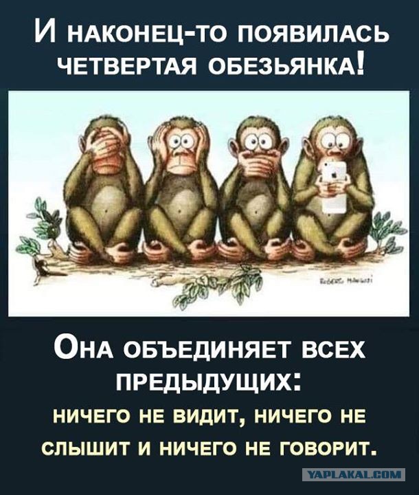 Просто фото...