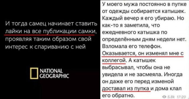 Забавные шутки, фразы, картинки из этих ваших интернетов