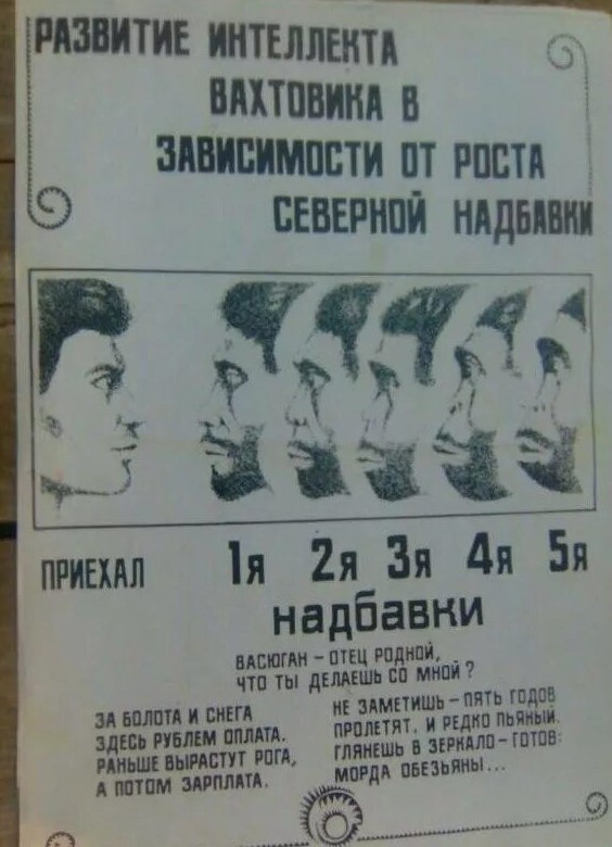 Васюганские болота: крупнейшая топь в мире, которая охватывает 5 областей России