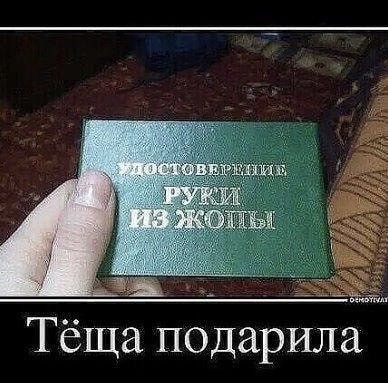 16706461.jpg