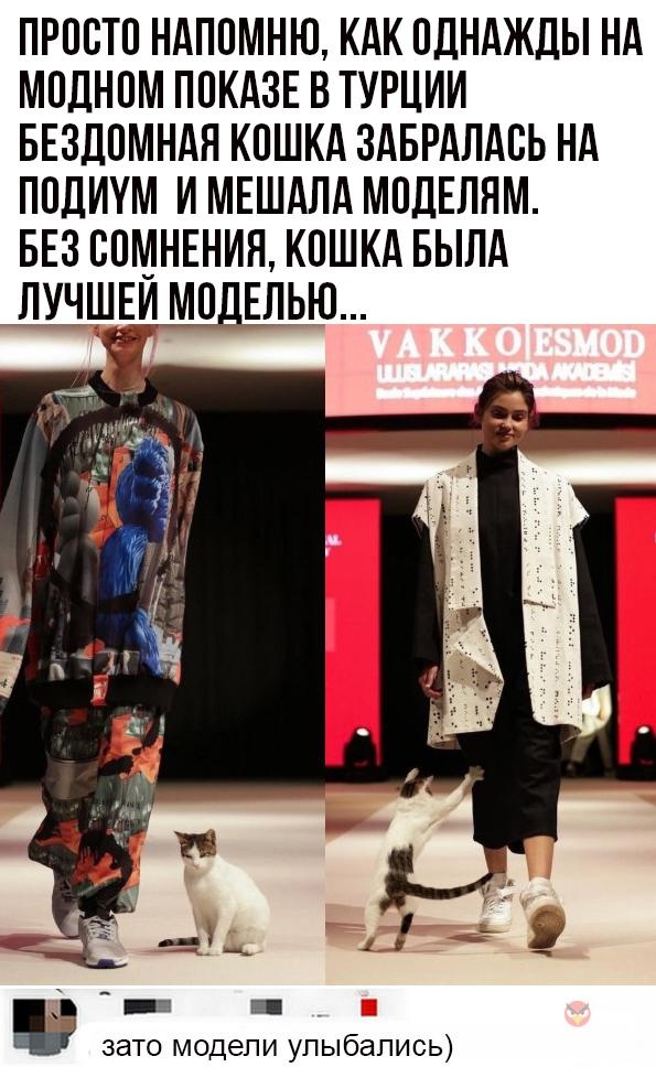 Так себе картинки 07.05.22