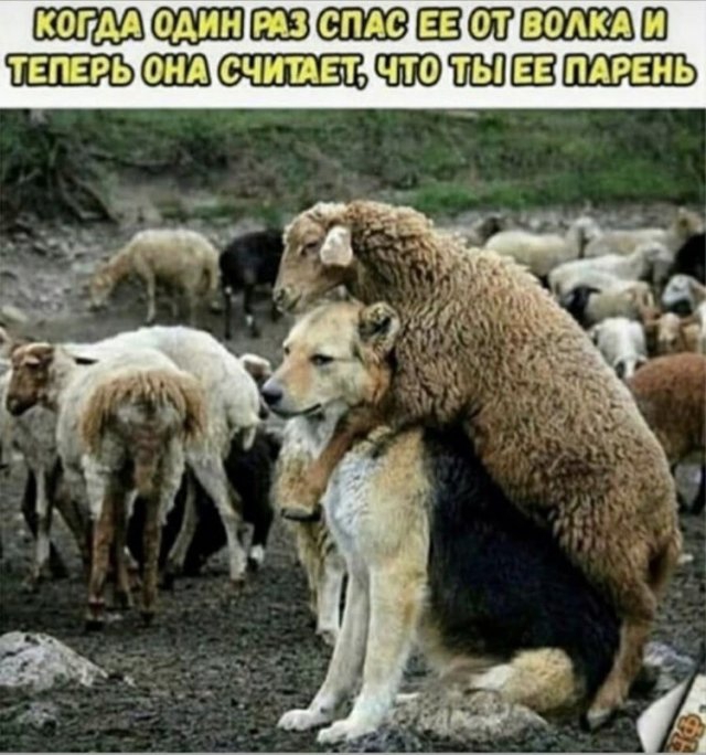 Картинки и мемы для настроения - 19