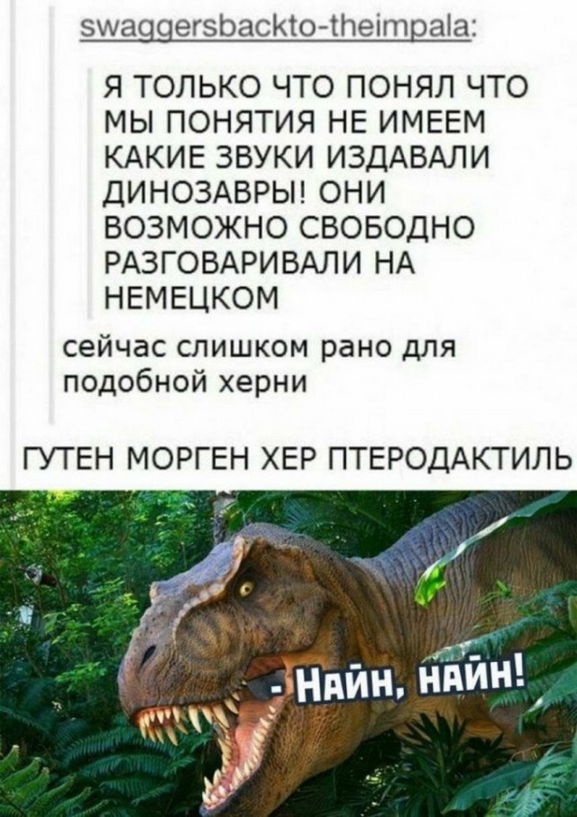 Картинки и мемы для настроения - 17