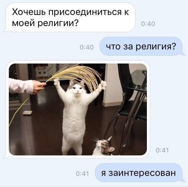Народная меДИЧина 5010