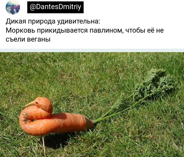 Картинки и мемы для настроения - 133