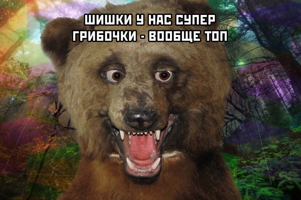 Прикольные и просто красивые картинки 29.11.2022