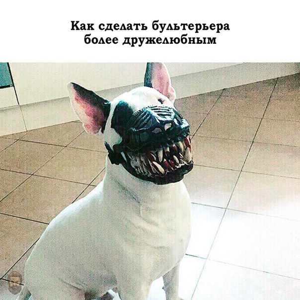 Картинки разные, возможны баяны